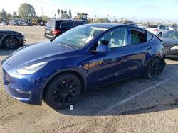 2021 Tesla Model Y for sale in Van Nuys, CA