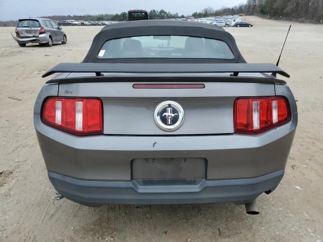 2010 Ford Mustang