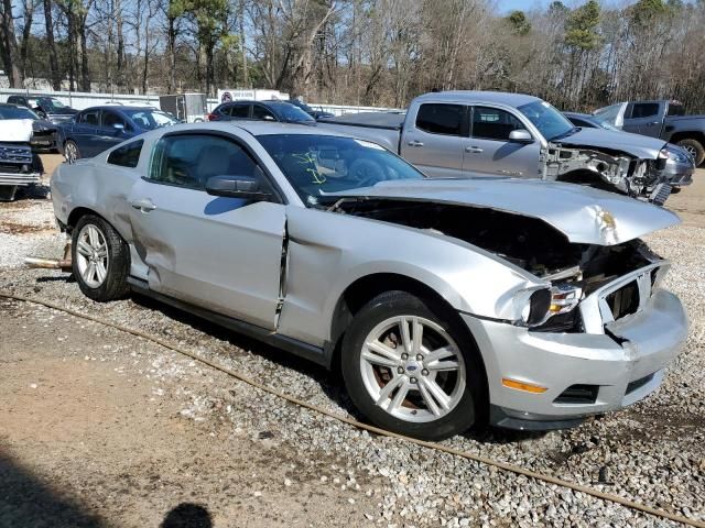 2010 Ford Mustang