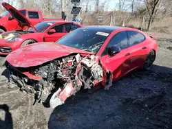 Salvage cars for sale at auction: 2019 Porsche Panamera GTS