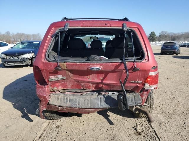 2009 Ford Escape XLT