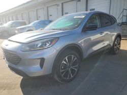 Salvage cars for sale at Louisville, KY auction: 2022 Ford Escape SE