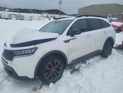 Salvage cars for sale from Copart Elmsdale, NS: 2021 KIA Sorento LX