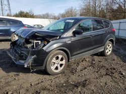 Salvage cars for sale from Copart Windsor, NJ: 2014 Ford Escape SE