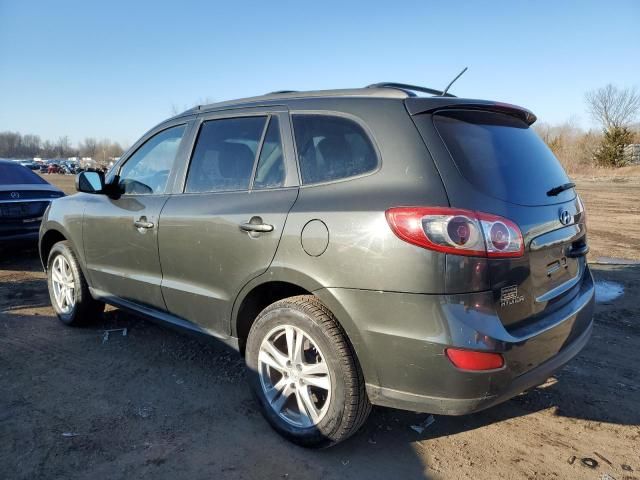 2010 Hyundai Santa FE SE