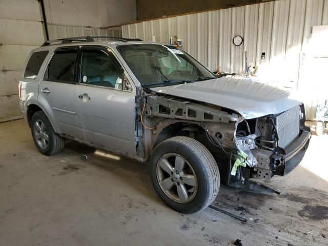 2010 Ford Escape Limited