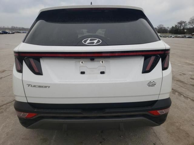 2022 Hyundai Tucson Limited