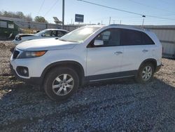 KIA Vehiculos salvage en venta: 2011 KIA Sorento Base