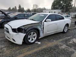 Salvage cars for sale at Graham, WA auction: 2013 Dodge Charger SE