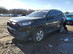 Toyota Rav4 XLE salvage cars for sale: 2021 Toyota Rav4 XLE