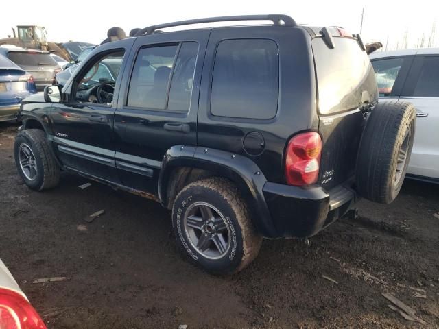 2004 Jeep Liberty Renegade