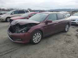 Honda Accord exl salvage cars for sale: 2014 Honda Accord EXL