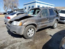 Salvage cars for sale from Copart Albuquerque, NM: 2002 Ford Escape XLT