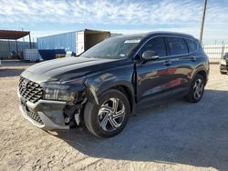 Salvage cars for sale at Andrews, TX auction: 2023 Hyundai Santa FE SEL