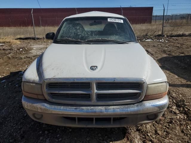 1999 Dodge Dakota