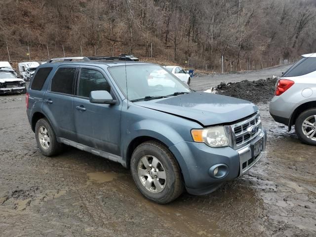 2012 Ford Escape Limited