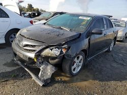 Salvage cars for sale from Copart Martinez, CA: 2013 Toyota Corolla Base