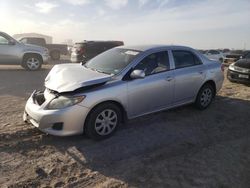 Salvage cars for sale at Amarillo, TX auction: 2010 Toyota Corolla Base