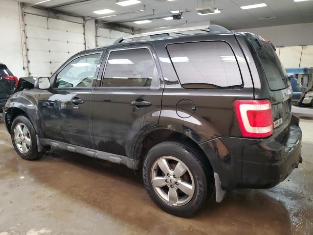 2010 Ford Escape Limited