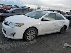 Salvage cars for sale from Copart Eugene, OR: 2012 Toyota Camry Base