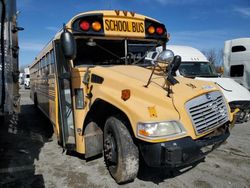 Salvage trucks for sale at Cahokia Heights, IL auction: 2011 Blue Bird School Bus / Transit Bus