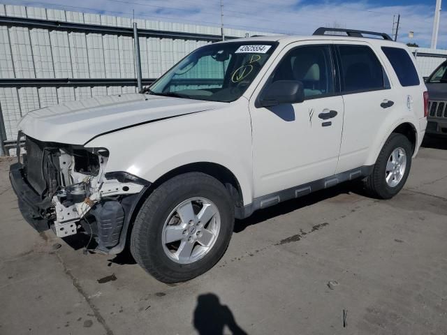 2011 Ford Escape XLT