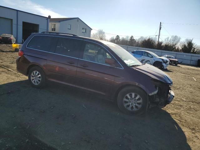 2008 Honda Odyssey EXL