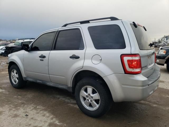 2009 Ford Escape XLT