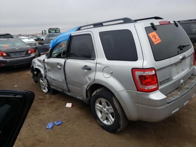 2010 Ford Escape Hybrid