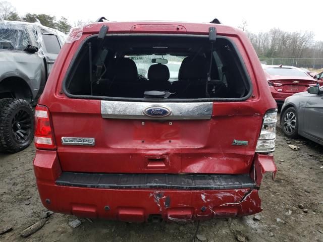 2011 Ford Escape Limited