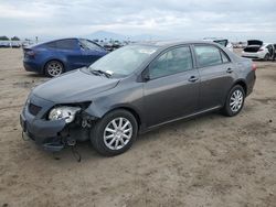 Toyota salvage cars for sale: 2010 Toyota Corolla Base