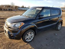 Salvage cars for sale at Columbia Station, OH auction: 2013 KIA Soul +