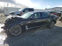 KIA salvage cars for sale: 2018 KIA Stinger