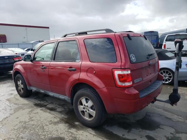 2010 Ford Escape XLT