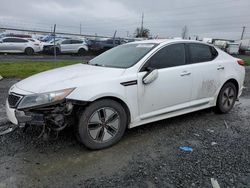 KIA Optima Hybrid salvage cars for sale: 2012 KIA Optima Hybrid