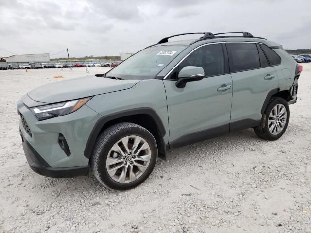 2023 Toyota Rav4 XLE Premium