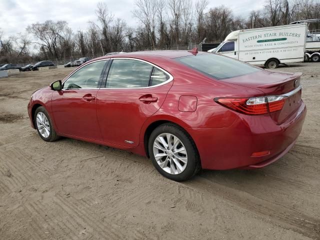 2014 Lexus ES 300H