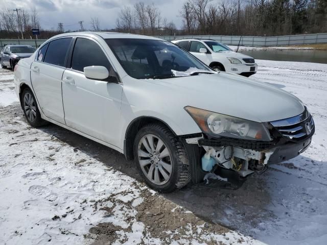 2011 Honda Accord EXL