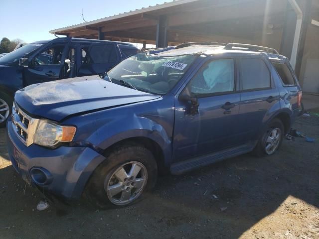 2010 Ford Escape XLT