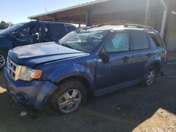 Salvage cars for sale at Tanner, AL auction: 2010 Ford Escape XLT