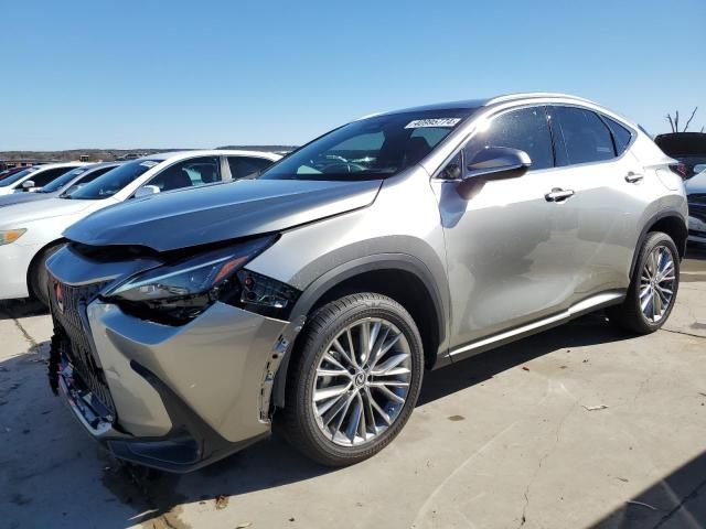 2022 Lexus NX 350H