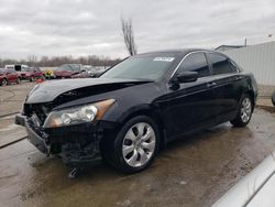 Honda Accord salvage cars for sale: 2010 Honda Accord EXL