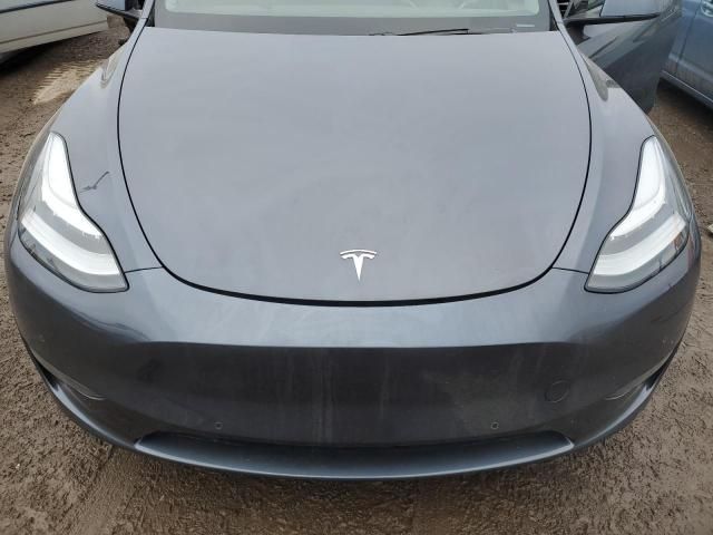 2020 Tesla Model Y