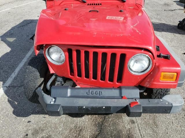 2003 Jeep Wrangler / TJ SE