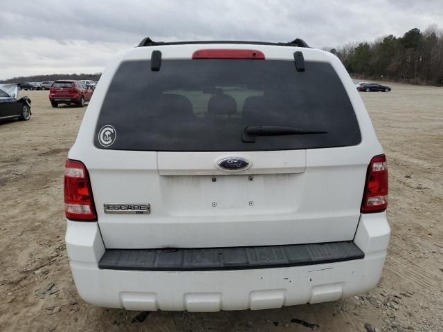 2008 Ford Escape XLT