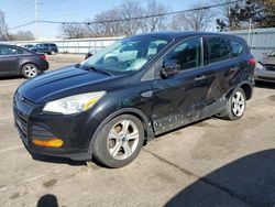 Salvage cars for sale at Moraine, OH auction: 2014 Ford Escape S