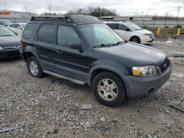 2014 Ford Escape XLT