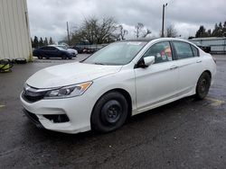 Salvage cars for sale from Copart Woodburn, OR: 2017 Honda Accord Sport Special Edition