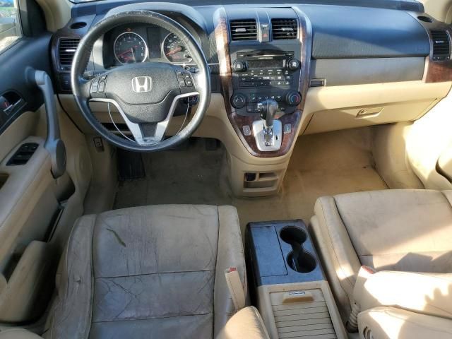 2007 Honda CR-V EXL