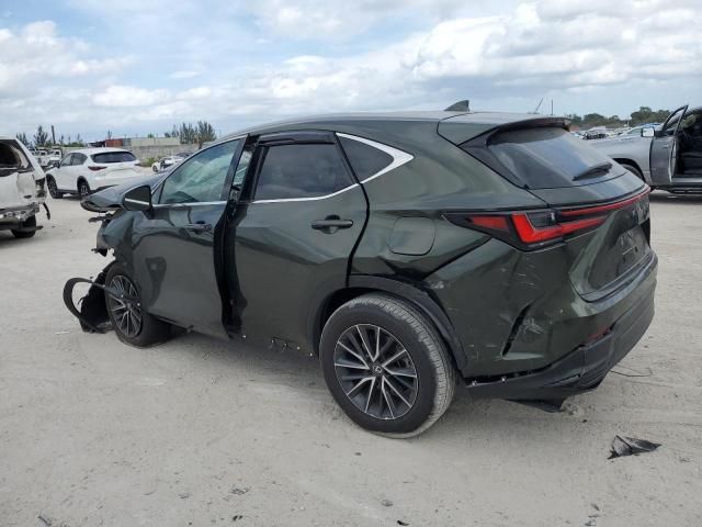 2024 Lexus NX 250 Premium